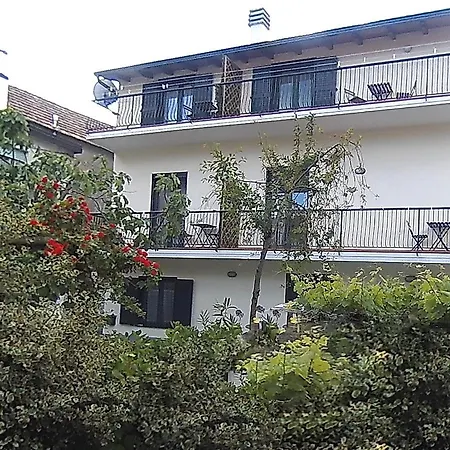 Short Amalfi Coast אג'רולה